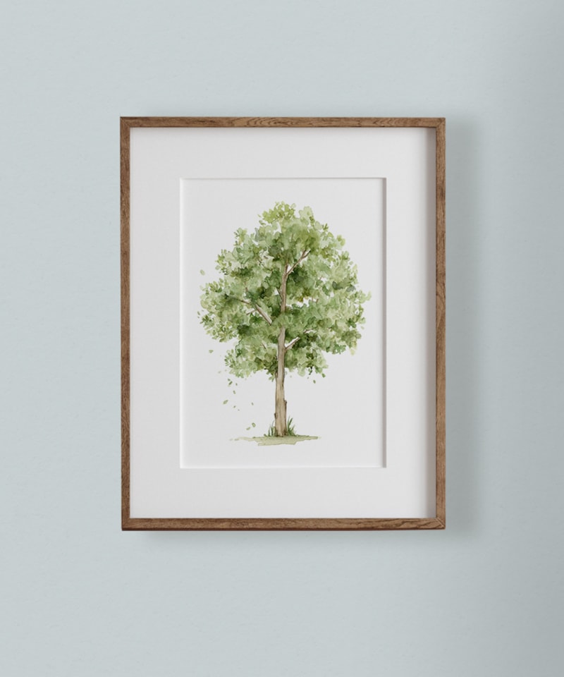 image_7f01e202-7c4d-4577-a930-252db21716ac