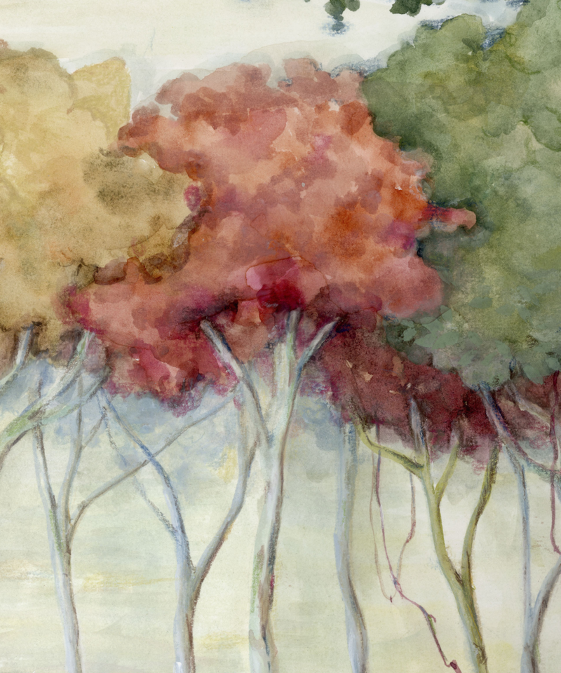 image_743fc458-1091-4ad7-9a2d-0fbbb9887da5