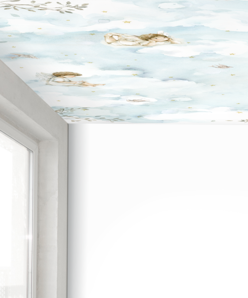 image_acf45582-87b7-41dd-ac0e-50f0d471f6b2