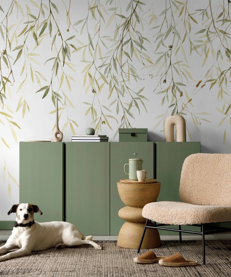 image_d0529c6c-d4e5-496c-8eb0-31f133a44921