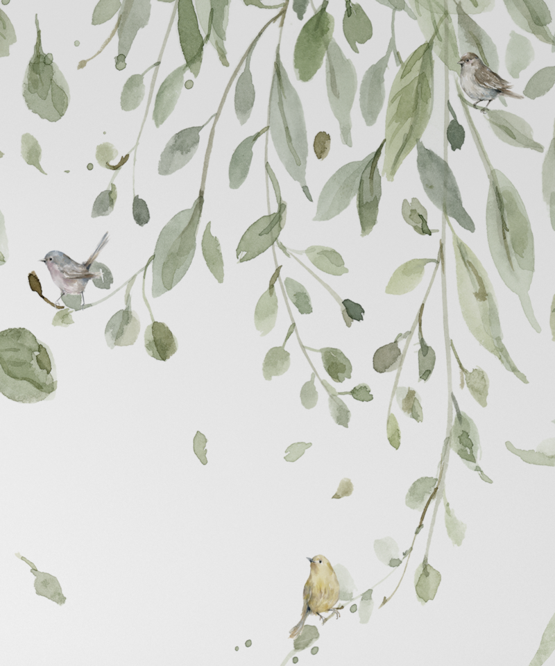 image_22ba5f01-933f-46a9-a46d-717374a341b0