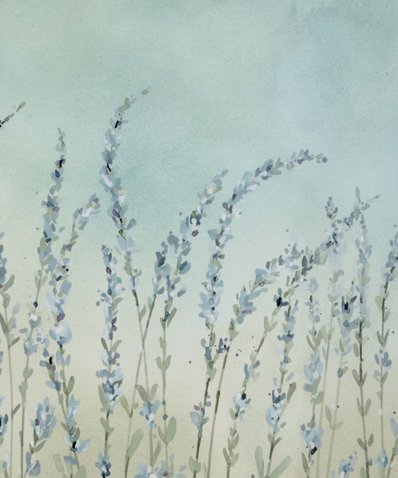 image_306b1b2b-b47e-4fdd-a7c2-b50082874f18