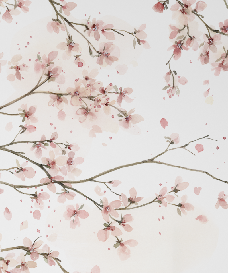 image_a92c5897-af7b-4850-8a52-d991ba1741bc