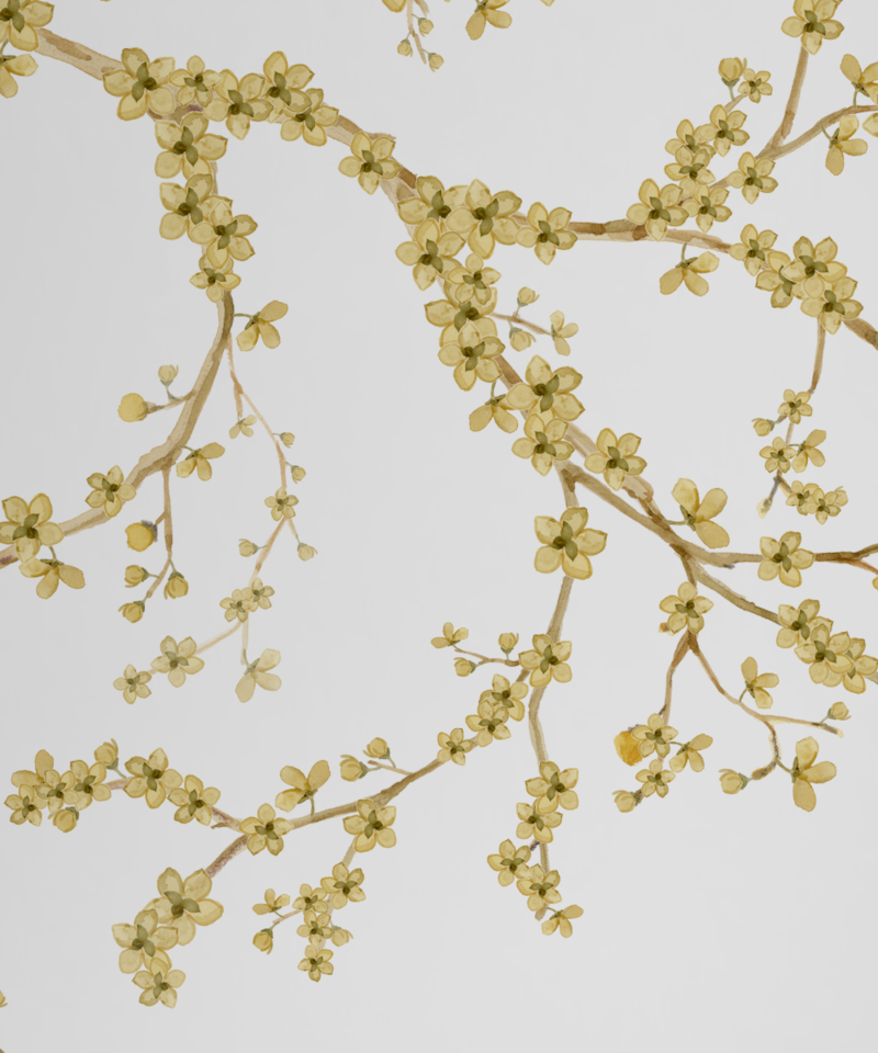 image_948217e6-f1f9-4cad-bc2e-aa84d590219b