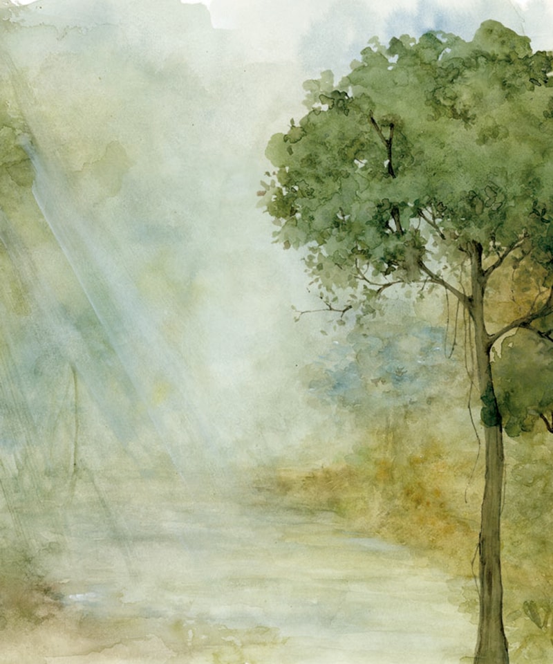 image_357a5653-6ac9-4c4c-bc52-627c5d659813