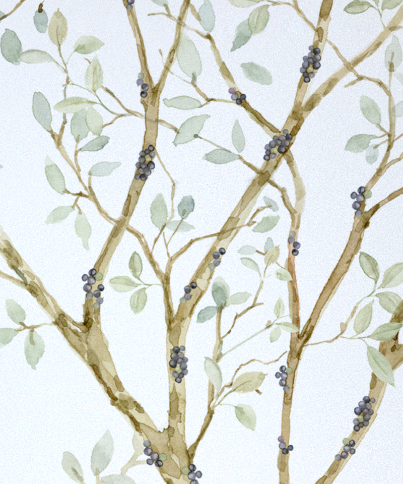 image_0b22f3e9-73d1-4087-9820-3e0c4858b0dd