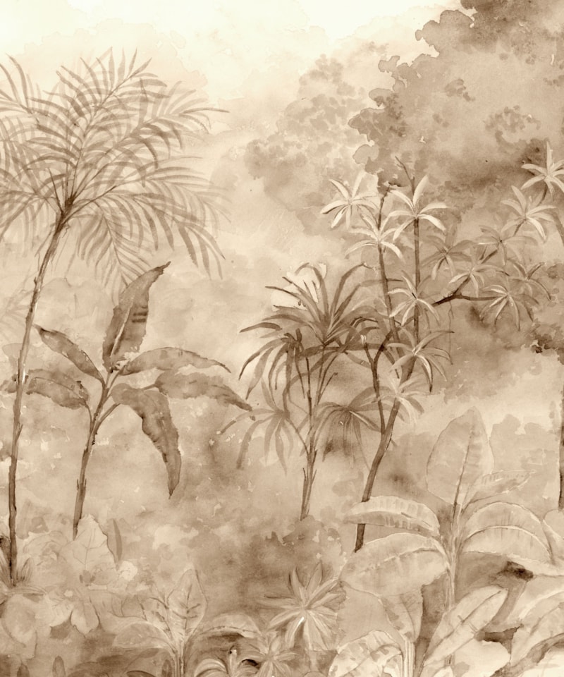 image_f69368f8-ffbd-4b15-89fd-5eb4bc5ba86a