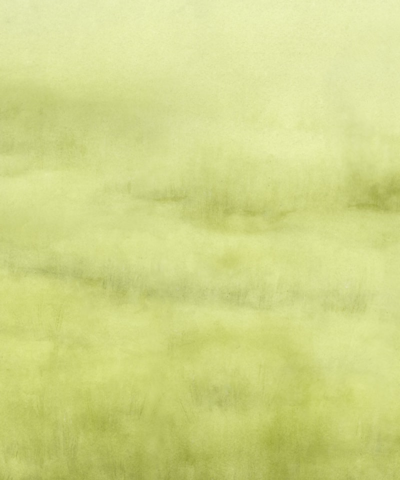 image_9cebac32-6833-4b75-9dd2-86f5cc3fc19d