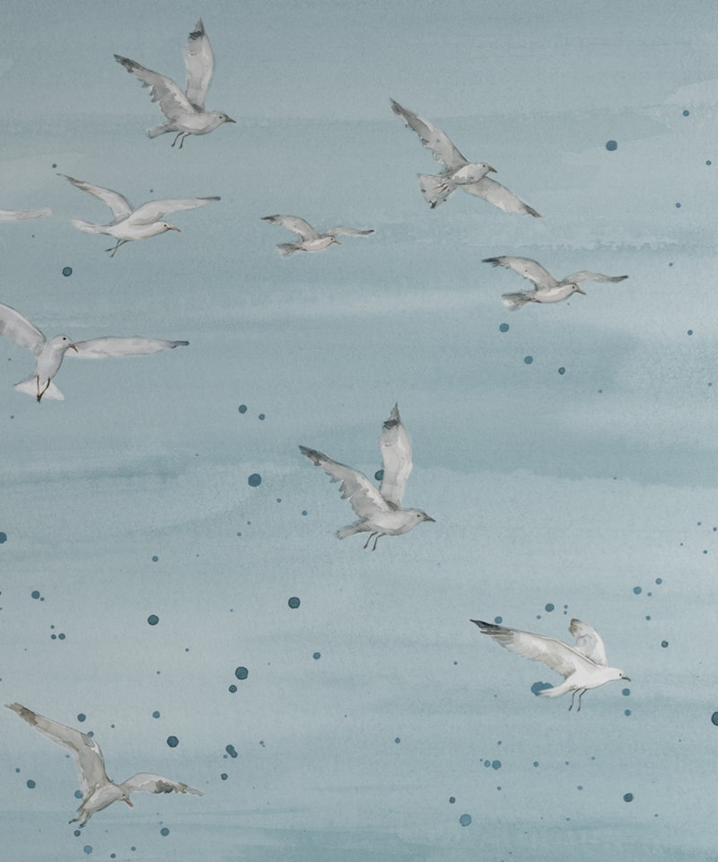 image_c66b3fdb-3d51-4ab0-b33b-853f8beca305