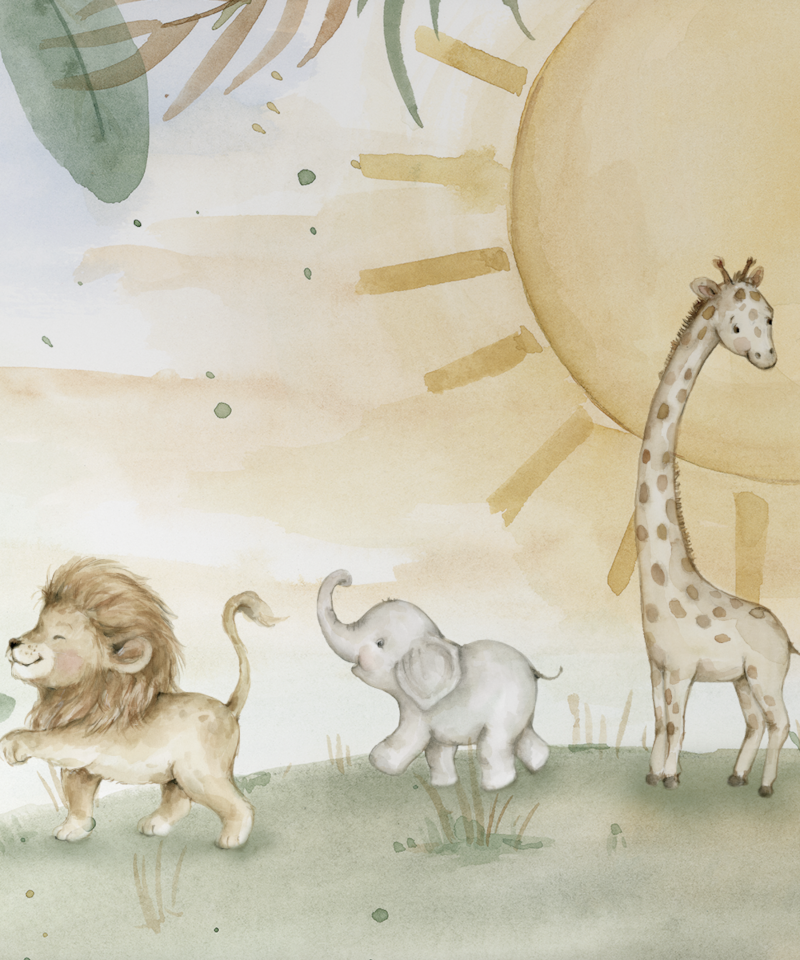 image_55feefa7-14c5-4cd4-be4a-cf9c864a6f6b