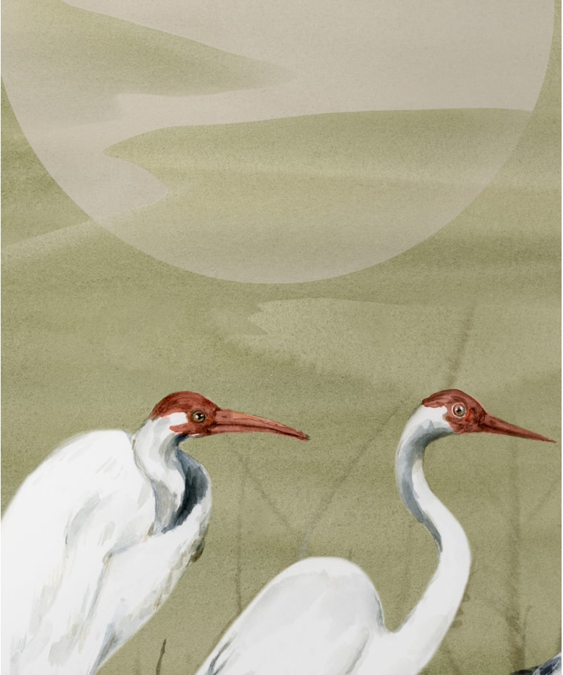 image_77ce0879-78e8-46b7-a874-38a76c15614d