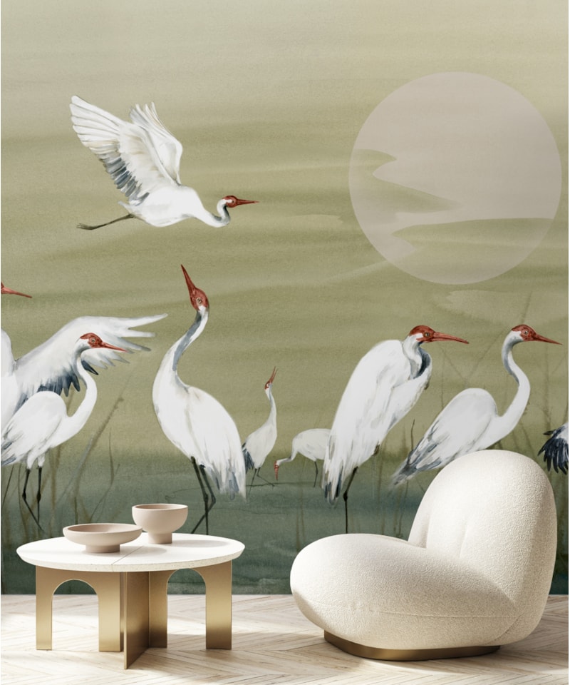 image_817bd79b-dd53-48fb-857b-f81d5d3734ed