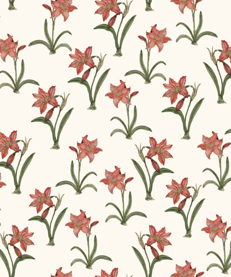 image_172fb195-fa8c-4190-a5b4-5fc8fa292bbe