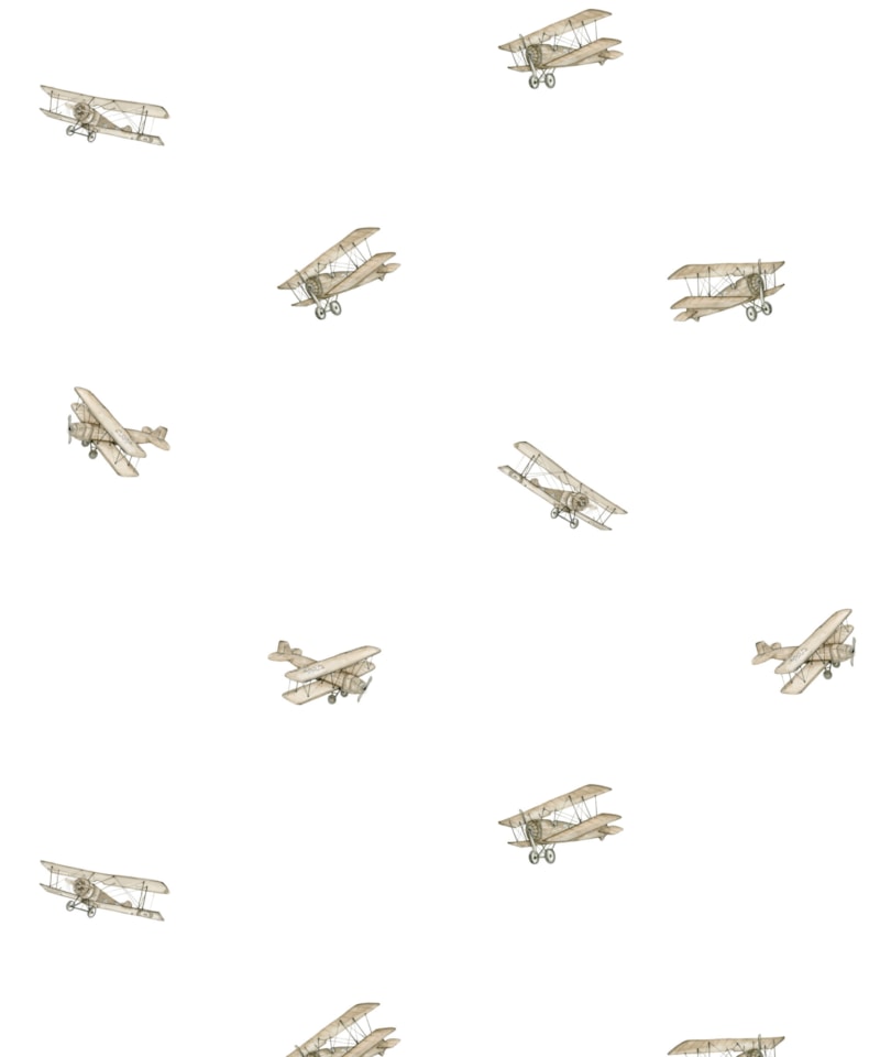image_d3ef4ba9-76ca-4c02-b509-d3dd64f4798a