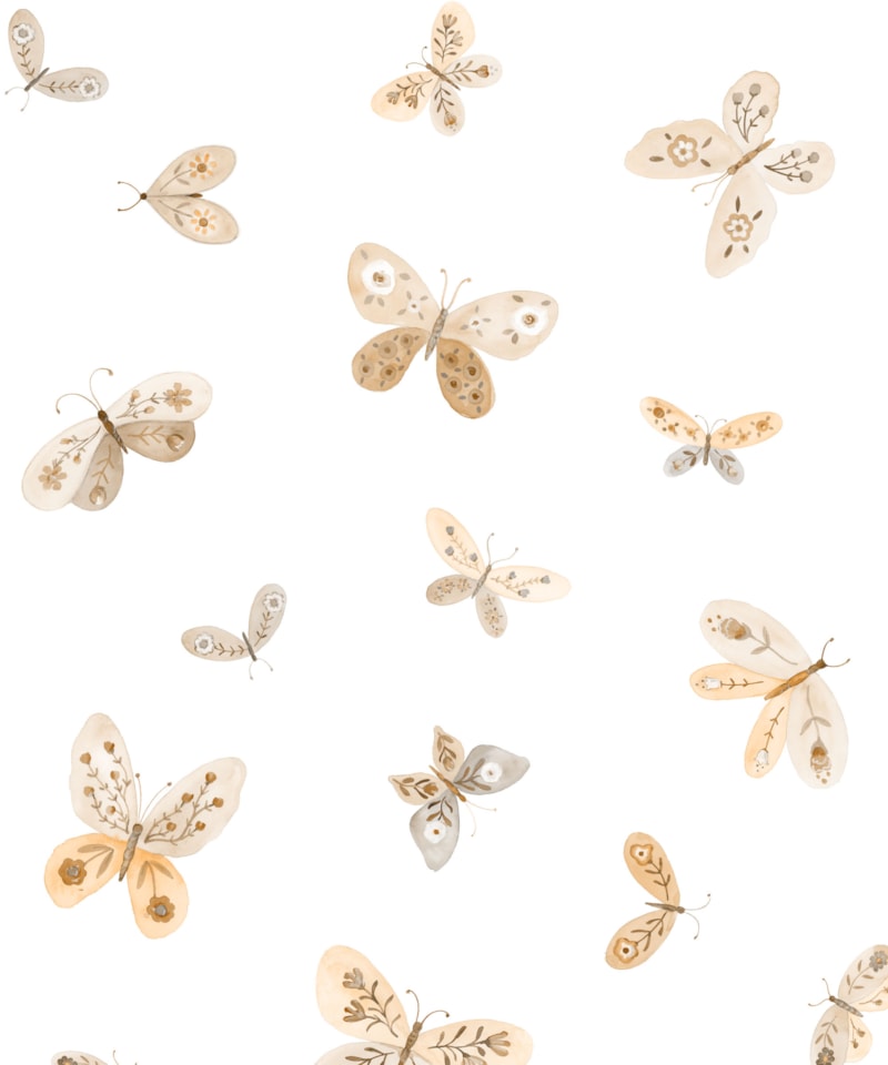 image_55e91c42-17b5-4fe3-ae4e-ffc823a5ddb0