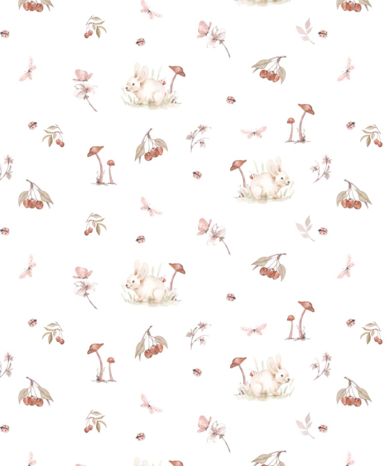 image_7cdca211-980f-43e3-95d2-a680160feb56