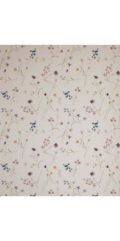 Color Branco
