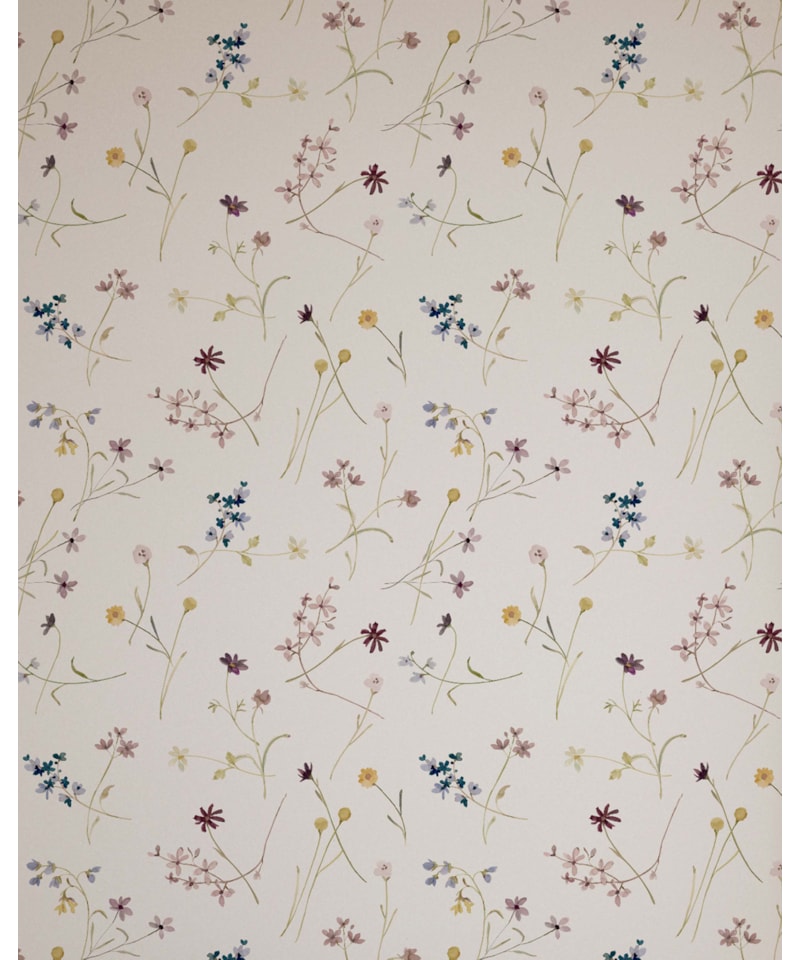 image_2928607f-019e-442f-80f1-27bc071dea19