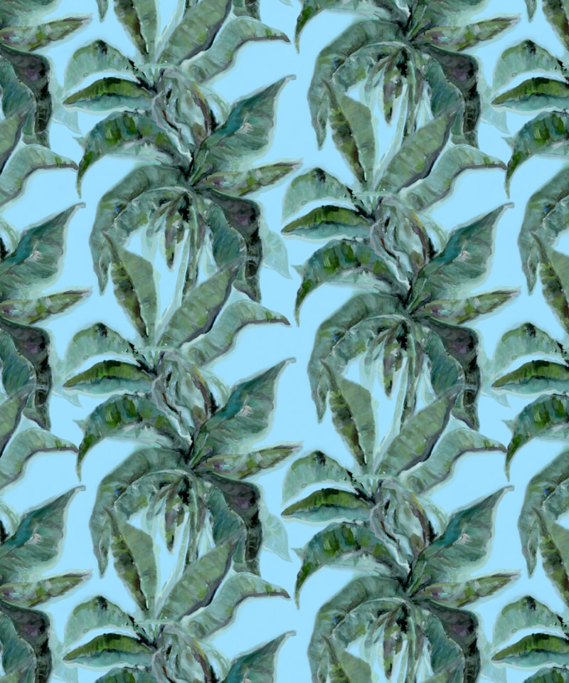image_e78003d4-90e0-46d3-a1e8-a49ee6337a2e