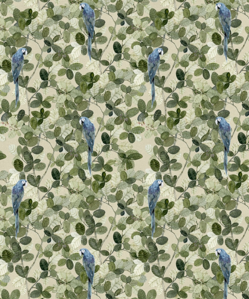 image_eafaf75e-bde3-4084-be7a-b764c32c6540