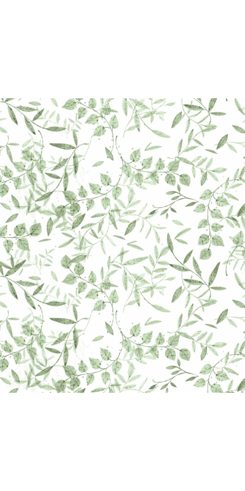 Verde Cor Verde