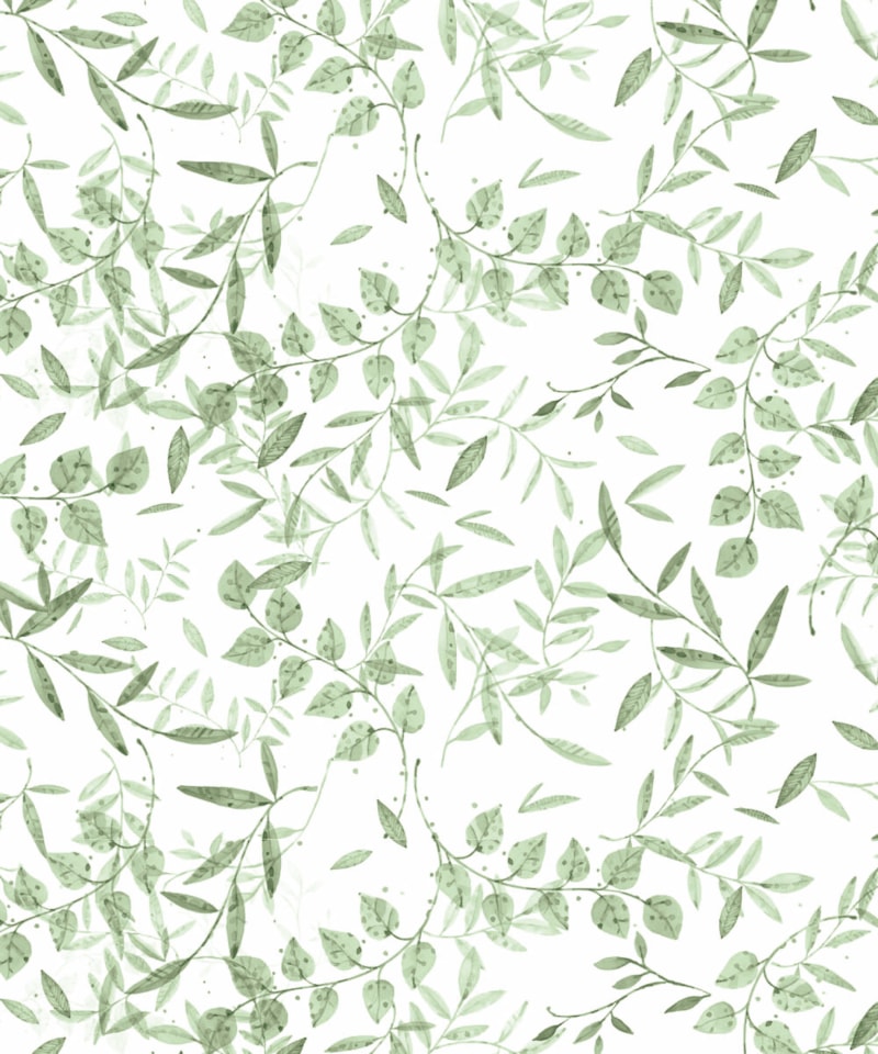 image_18c3904c-aad9-4322-98bb-5104b6419f3b