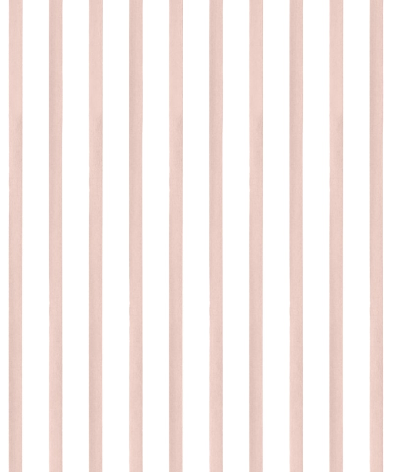 image_51ecaa54-90ba-46f5-8500-dc49c1b49fce