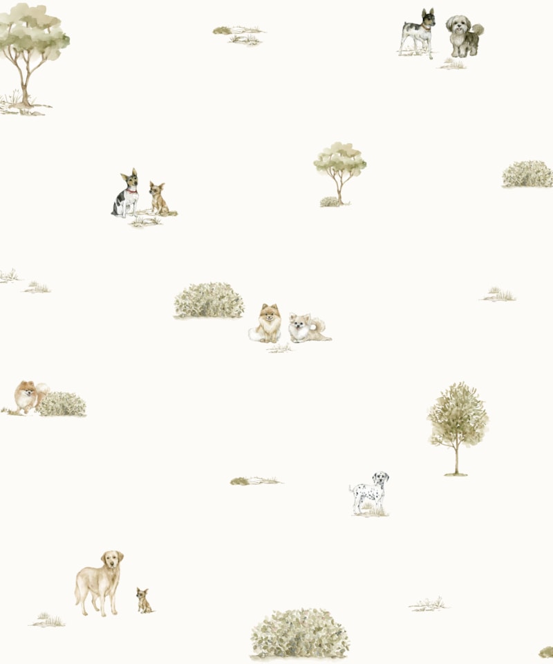 image_c17b9ace-fc2b-4bd1-8cef-646655804bb8