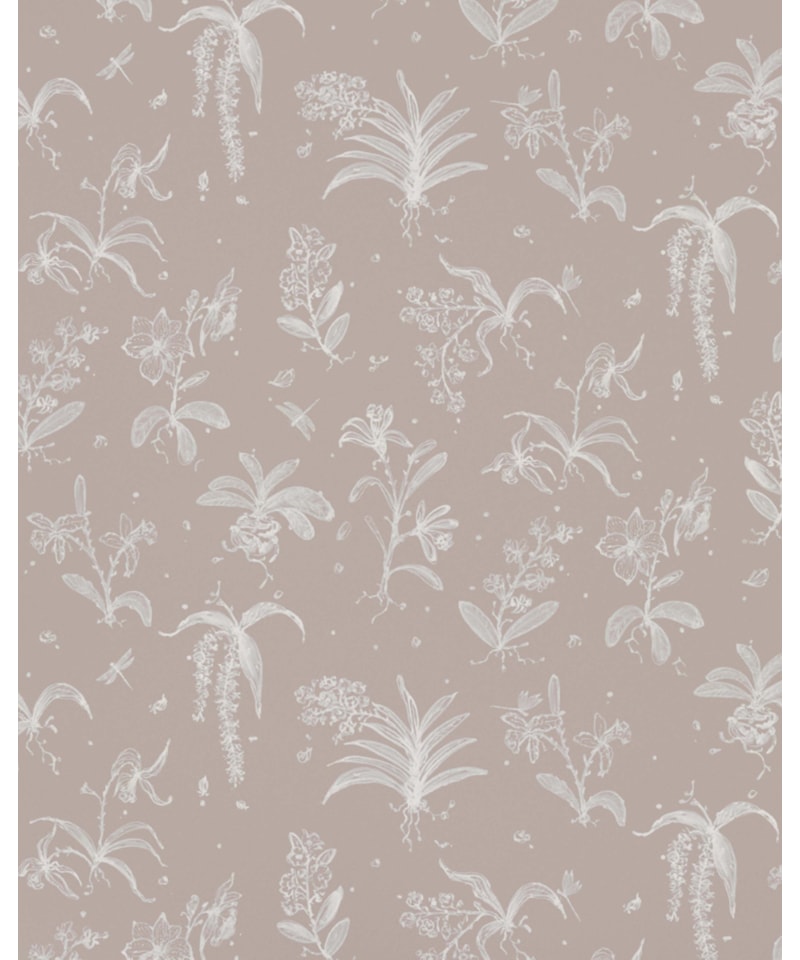 image_129db853-ed2c-442a-84b2-11ec47a1c7c0