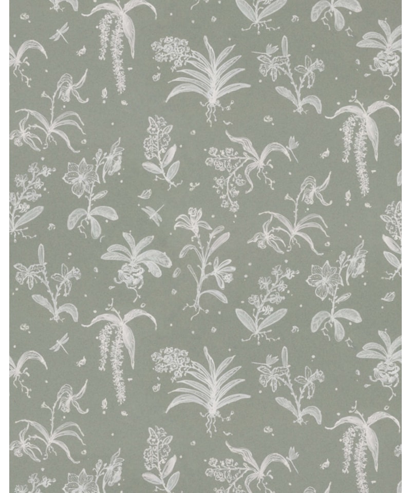 image_d079a231-b216-4e2e-81bb-7fb175526f33