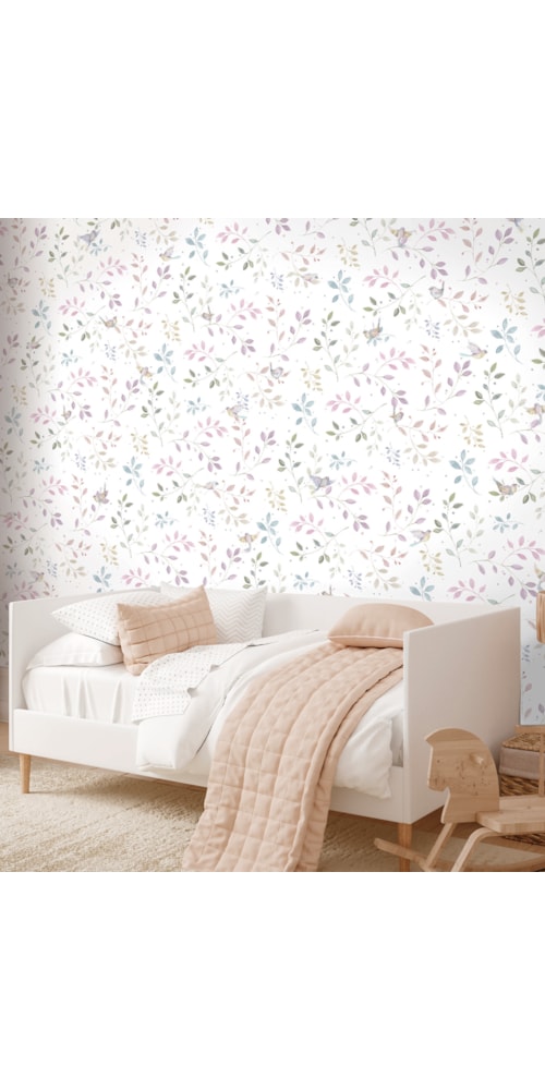 Colorido Cor Colorido